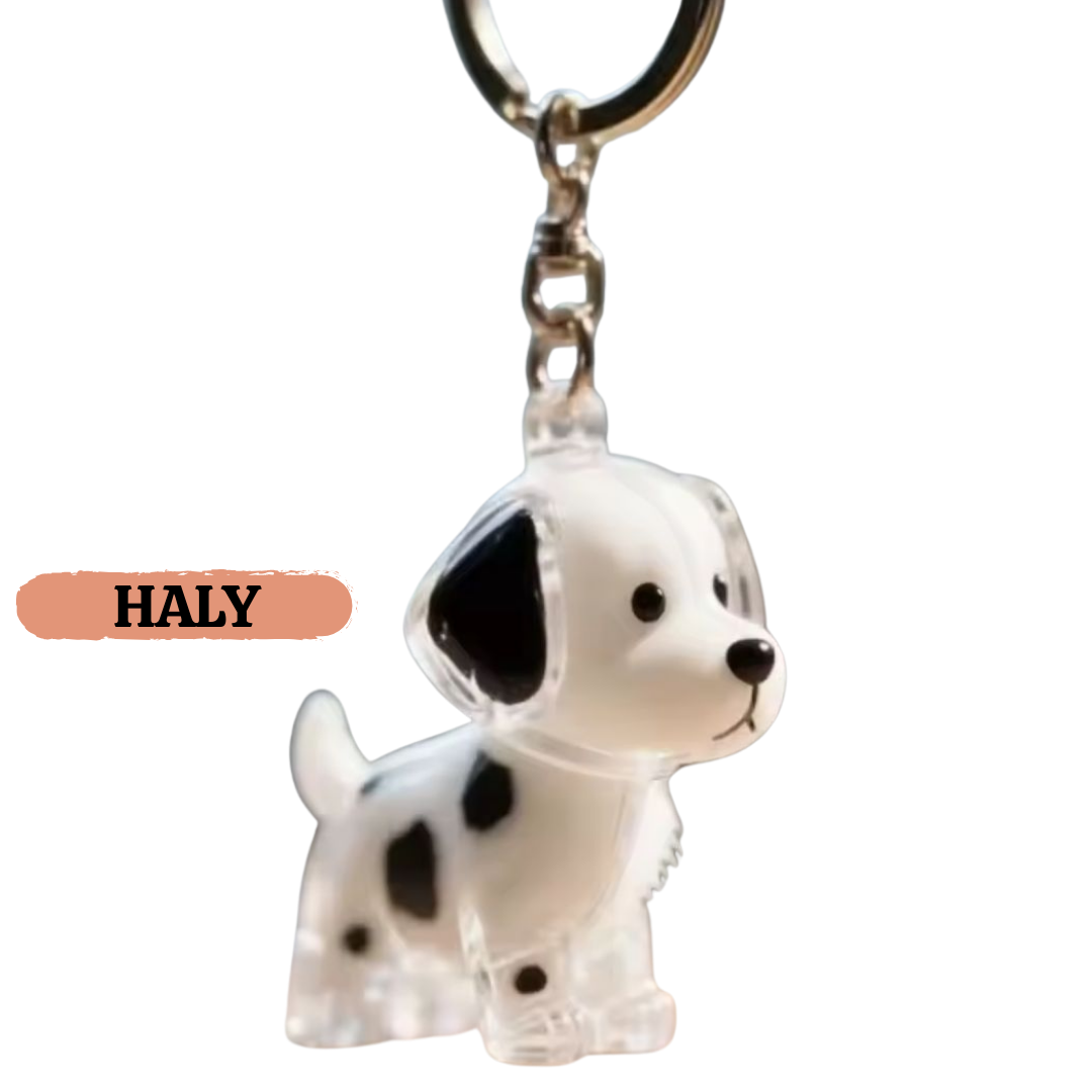 PawCharm™ – Forever Fur Keepsake Keychain & Bag Charm