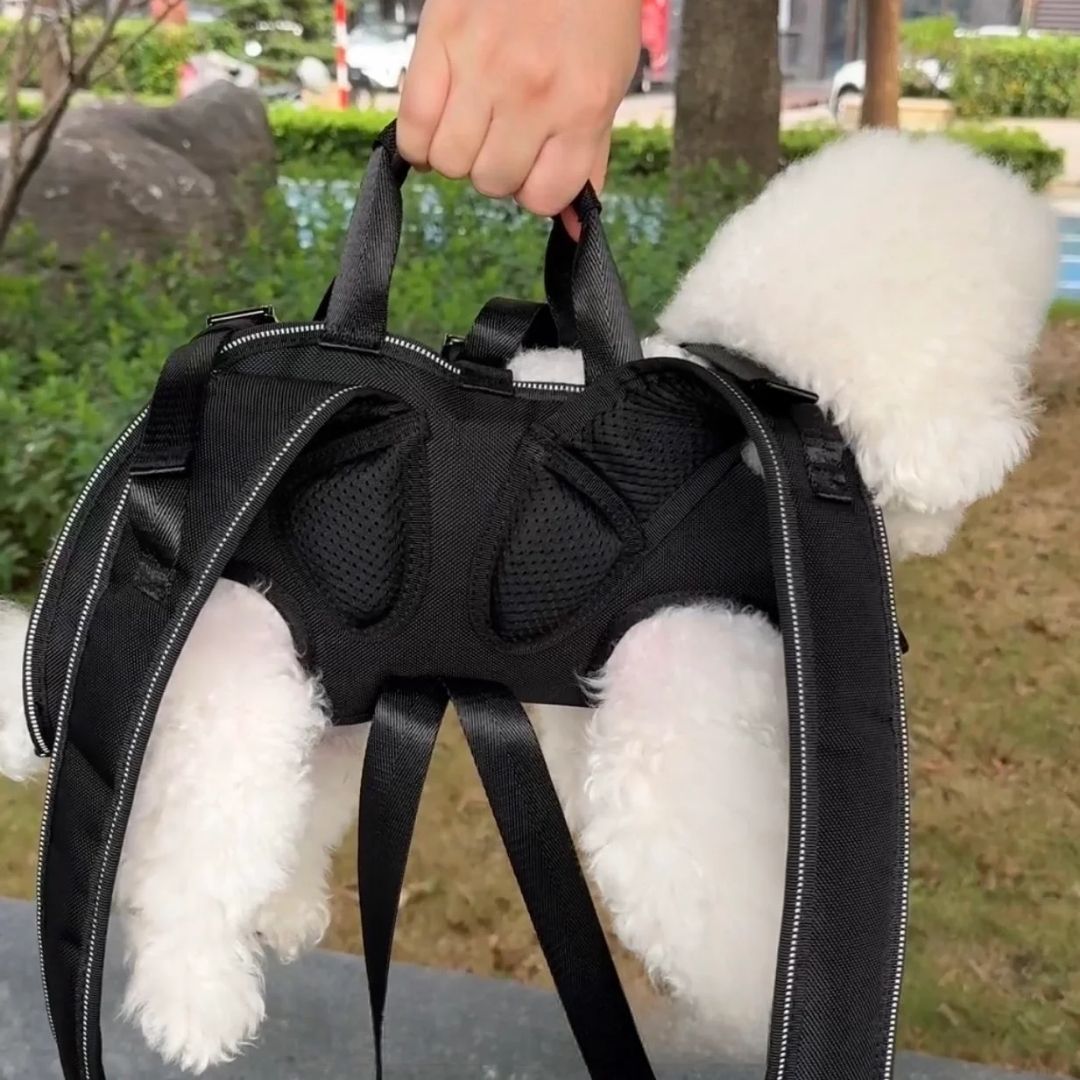 Orthopedic Horizontal Pet Carrier Backpack – Practical & Comfortable Design