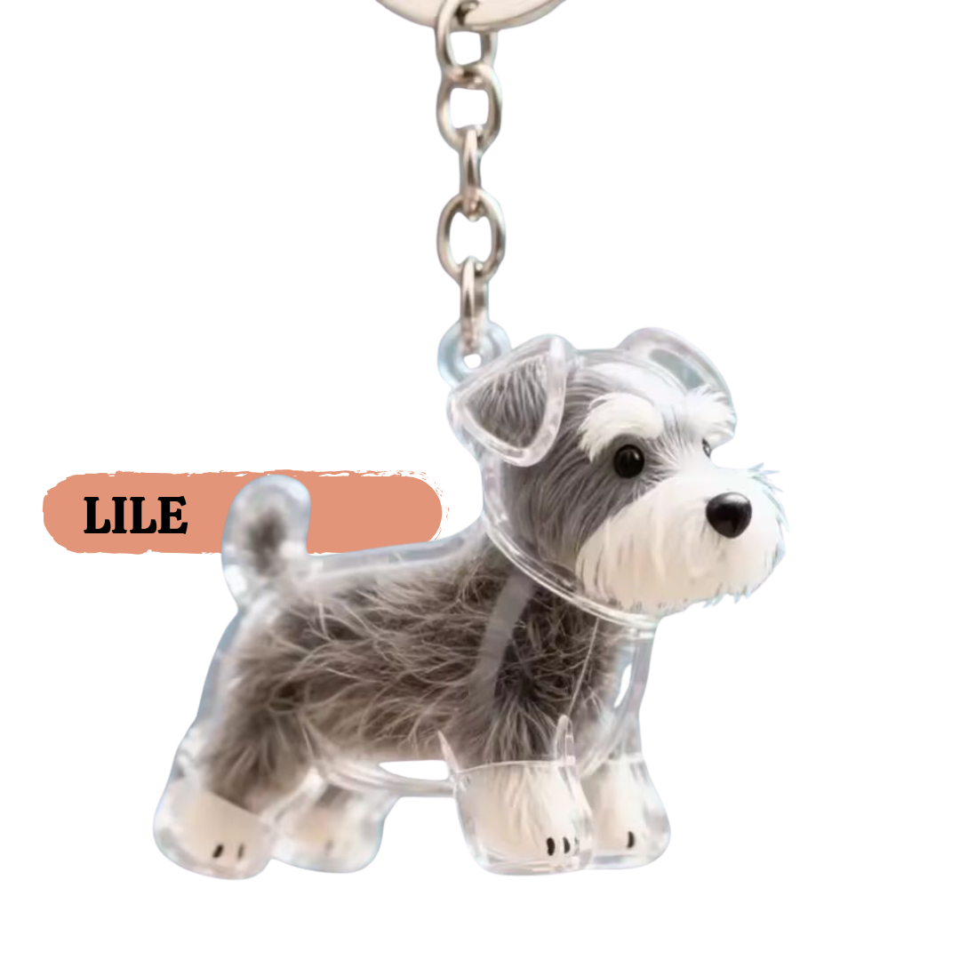 PawCharm™ – Forever Fur Keepsake Keychain & Bag Charm