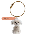 PawCharm™ – Forever Fur Keepsake Keychain & Bag Charm