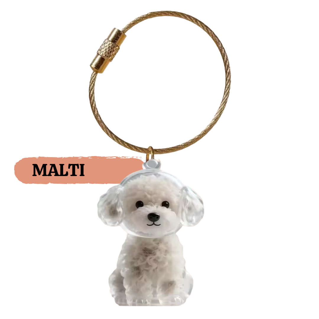 PawCharm™ – Forever Fur Keepsake Keychain & Bag Charm
